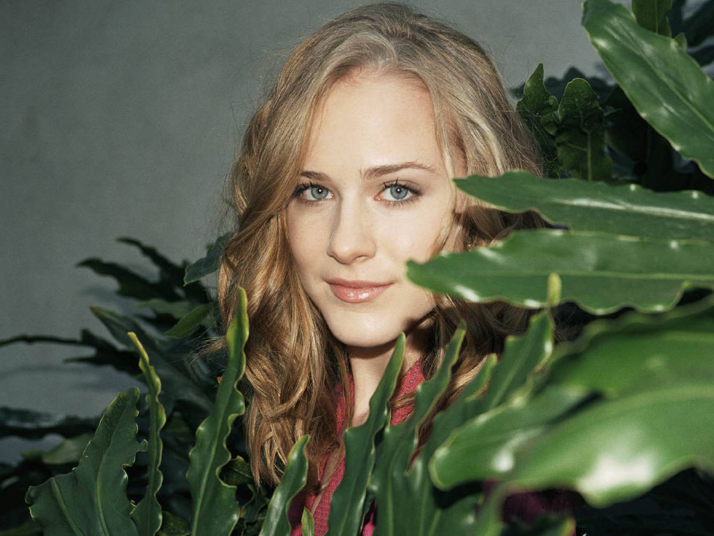 Evan Rachel Wood #75740