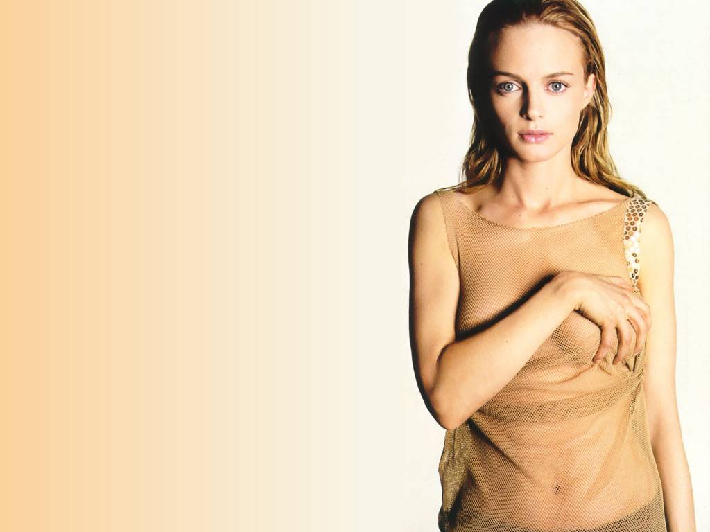 Heather Graham #76956