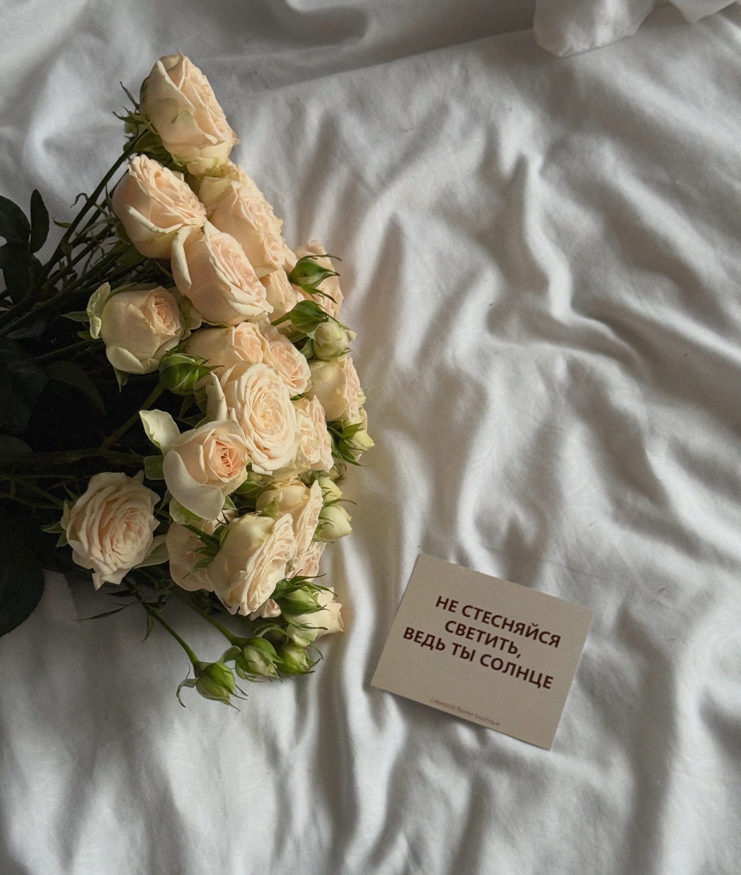 Renata Alexandrovna #85852