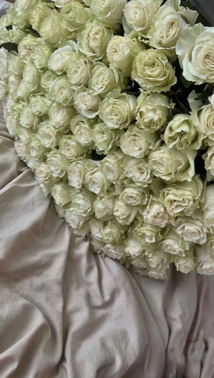 Renata Alexandrovna photo 85875