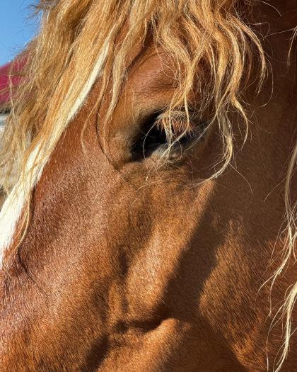 Renata Alexandrovna photo 85916