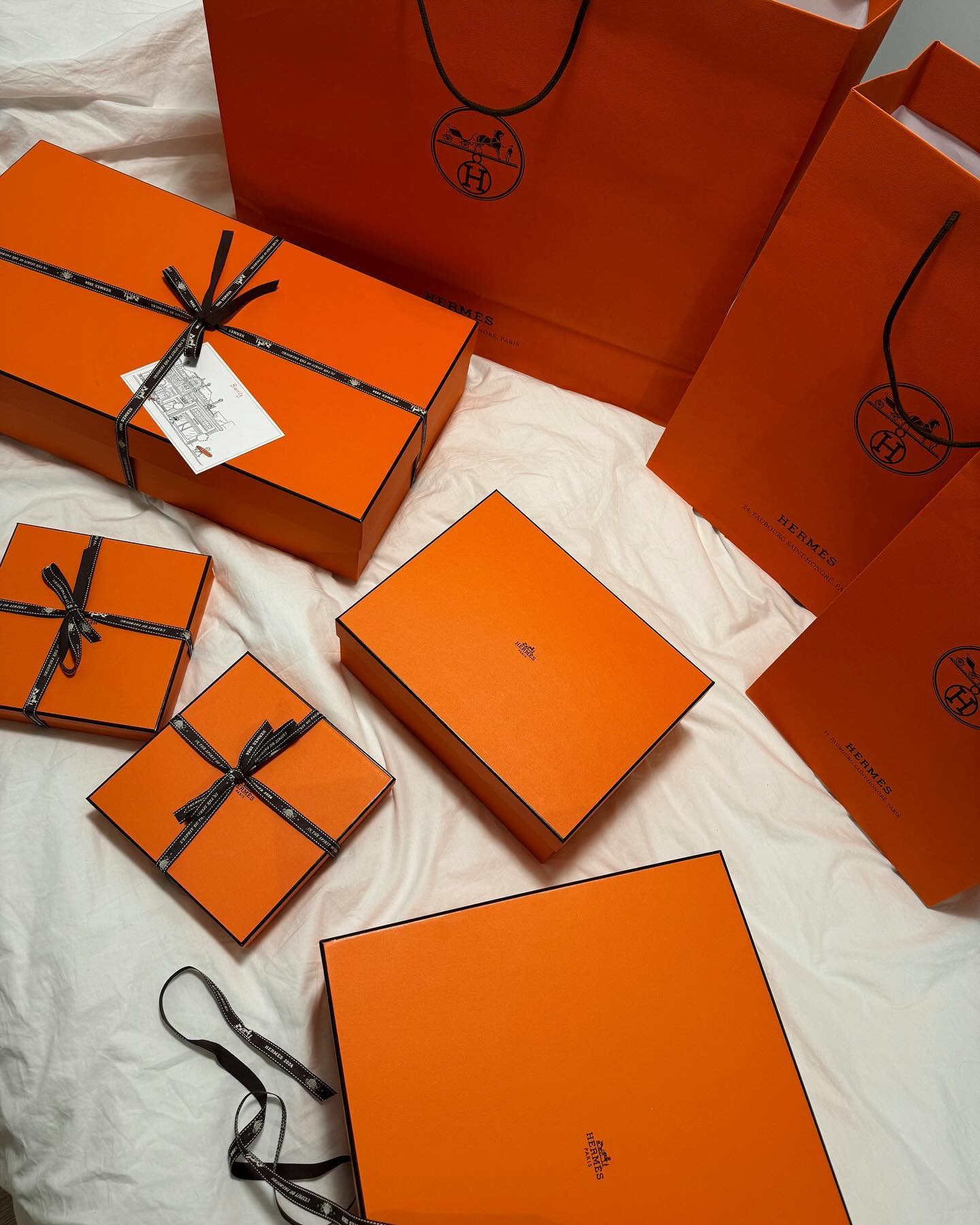 Olya Kolenkina #77888