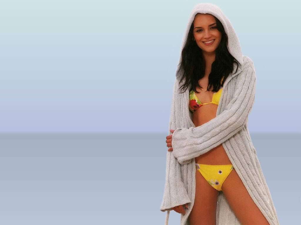 Rachael Leigh Cook #87816