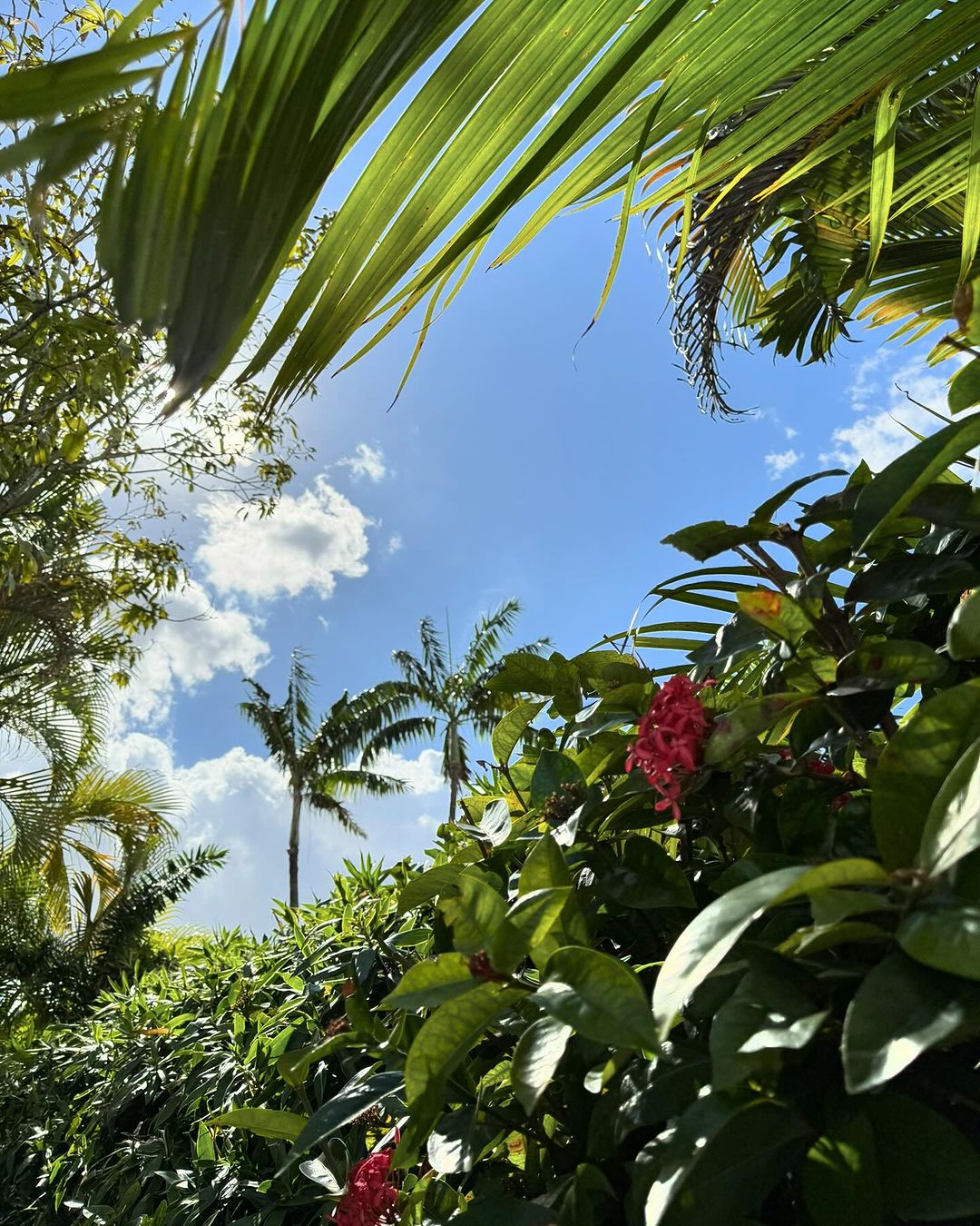 Anastasiya Kvitko #8579