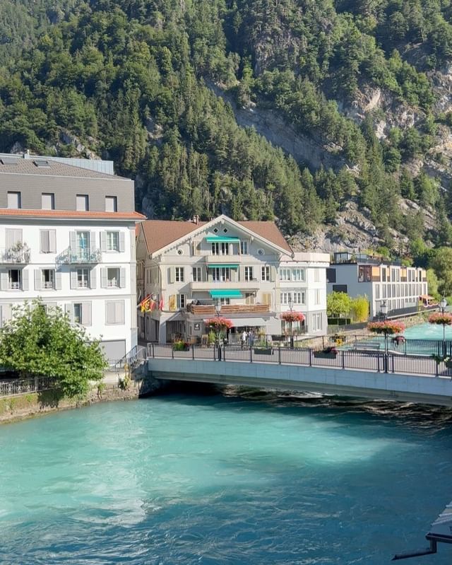 Anastasiya Kvitko #8620