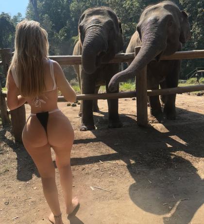 Nicole Farrell photo 94462