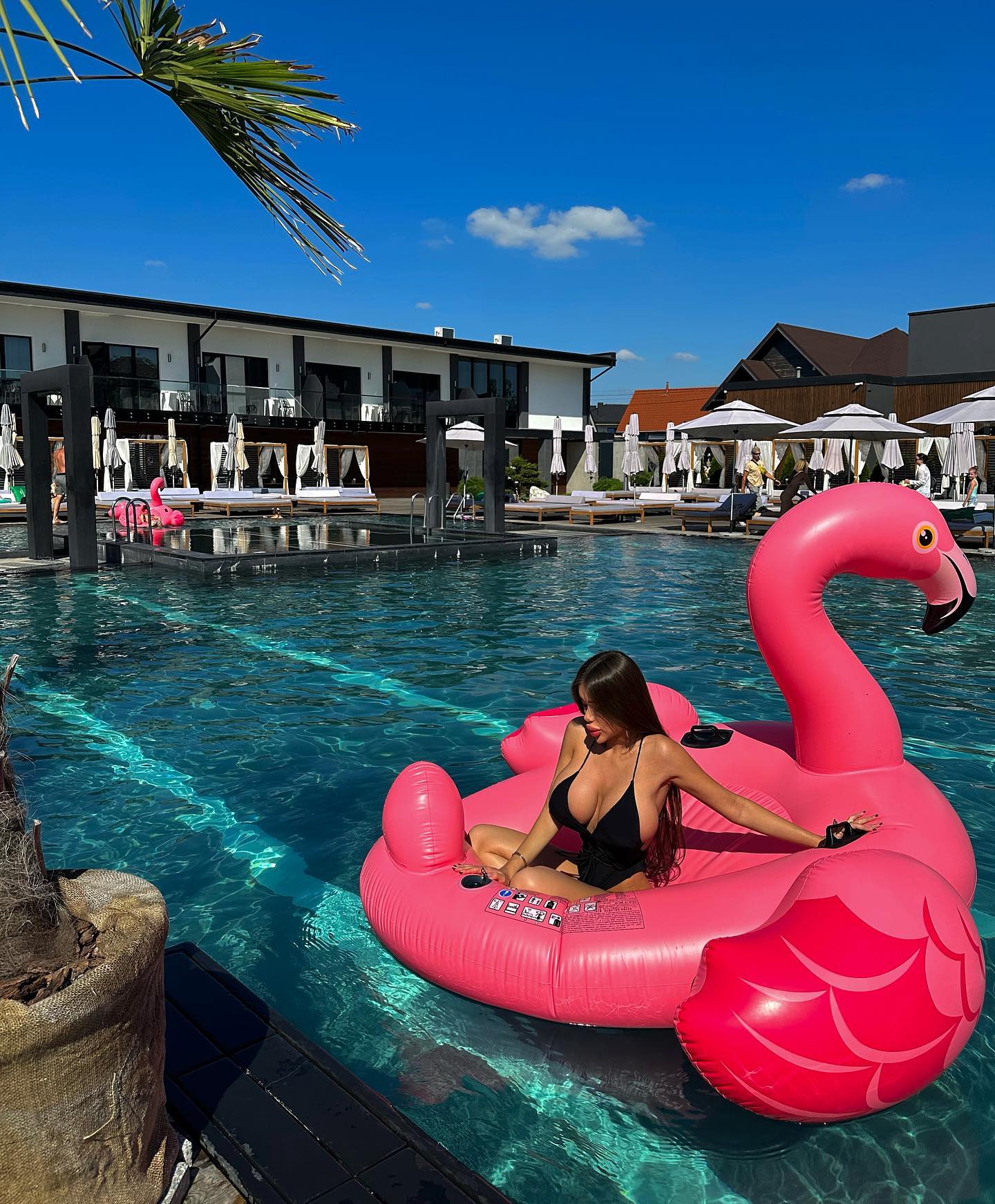 Mariel Musaeva #95365