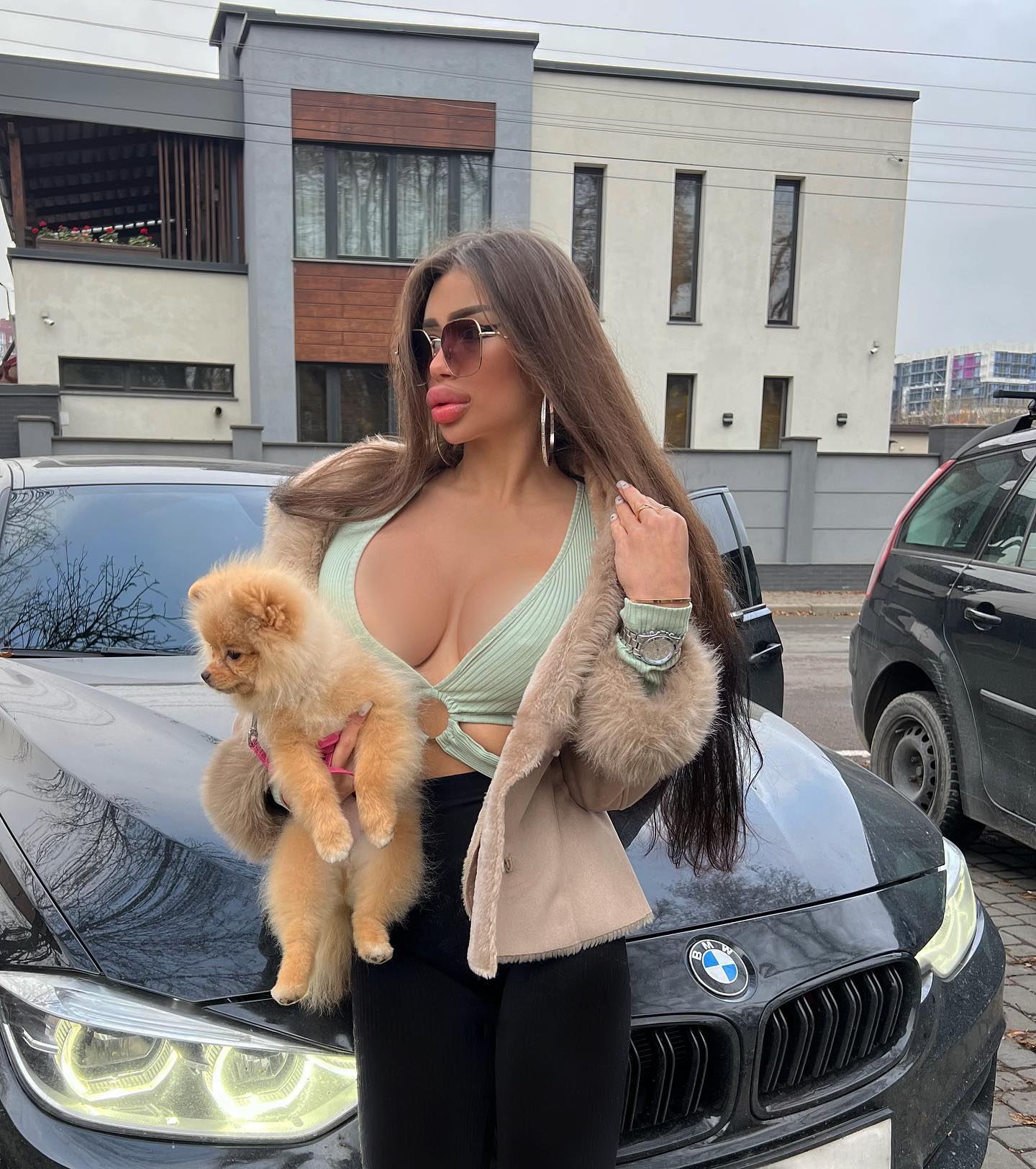 Mariel Musaeva #95376