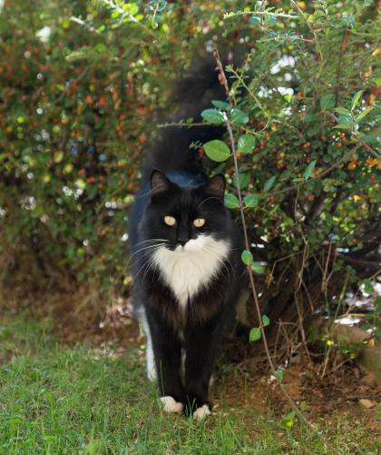 Vladislava Shelygina photo 8848