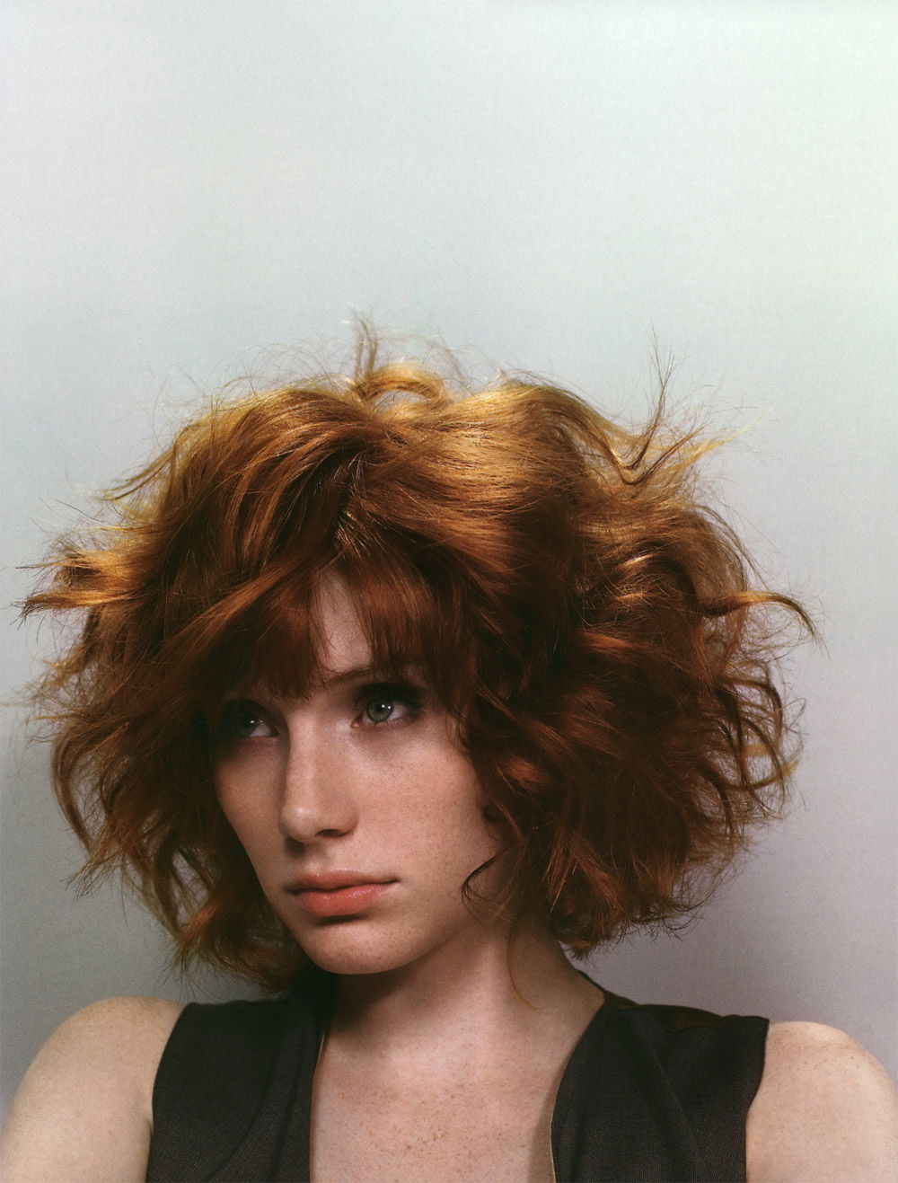 Bryce Dallas Howard #100314