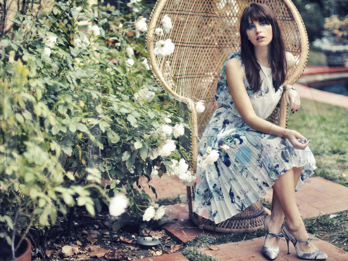 Felicity Jones #103734