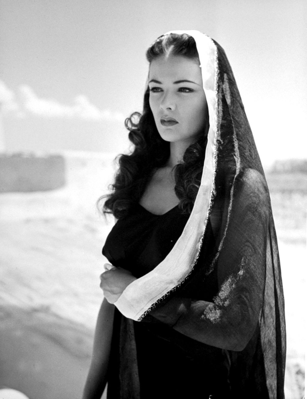 Gene Tierney #104034