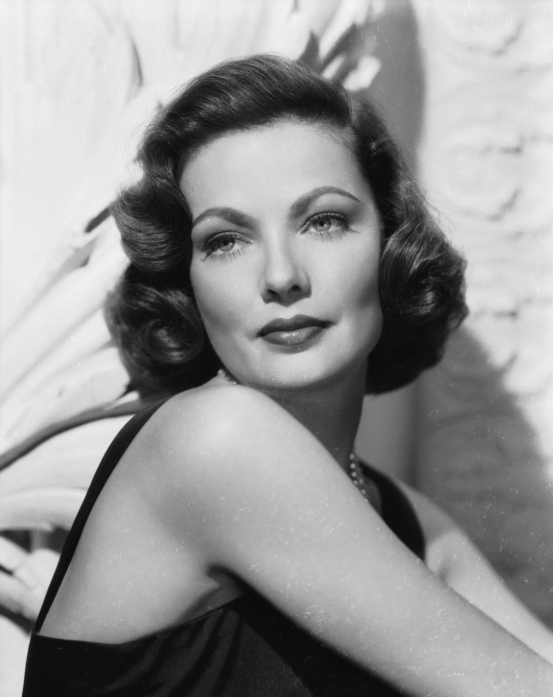 Gene Tierney #104053