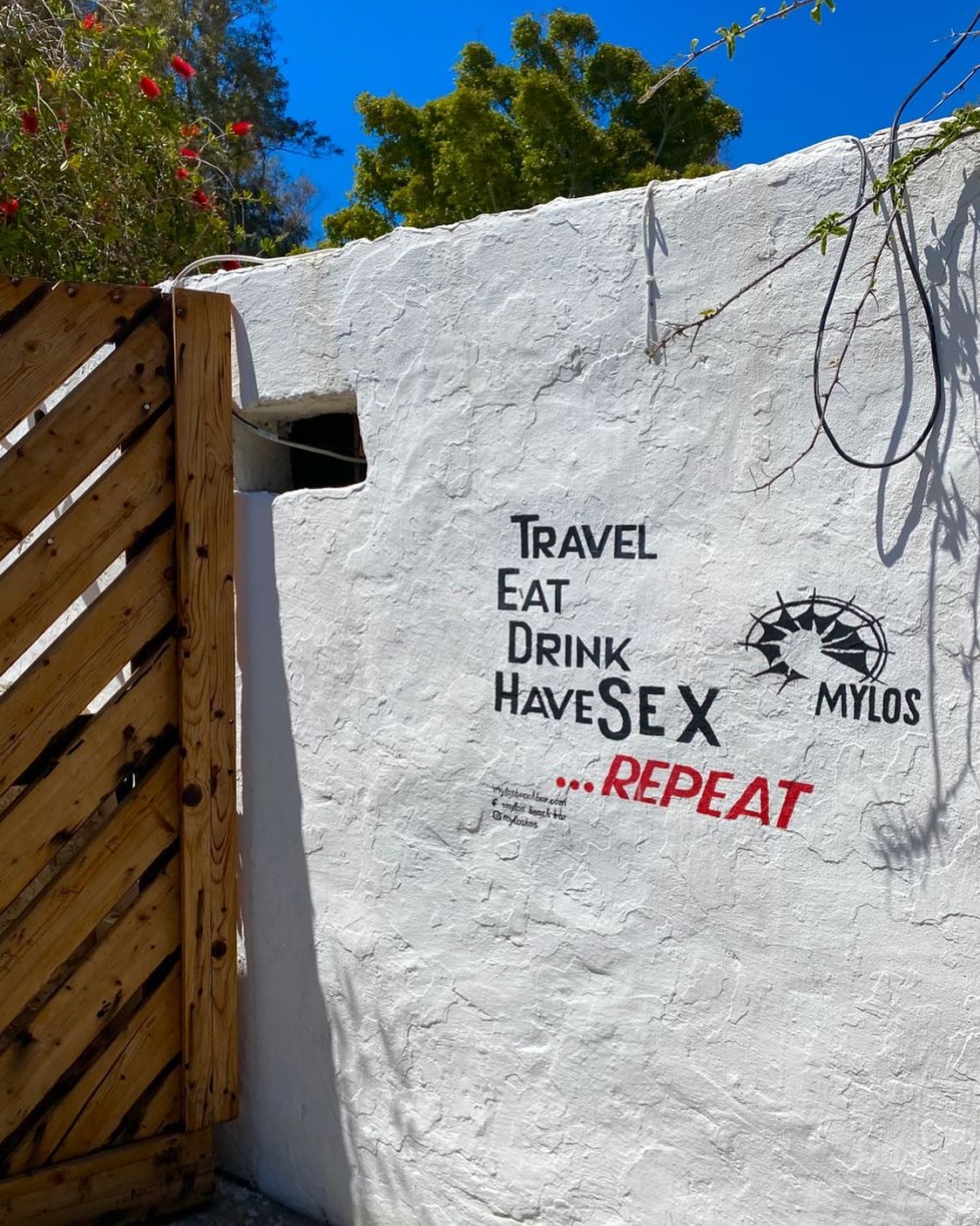 Yanitsa Petkova #45423