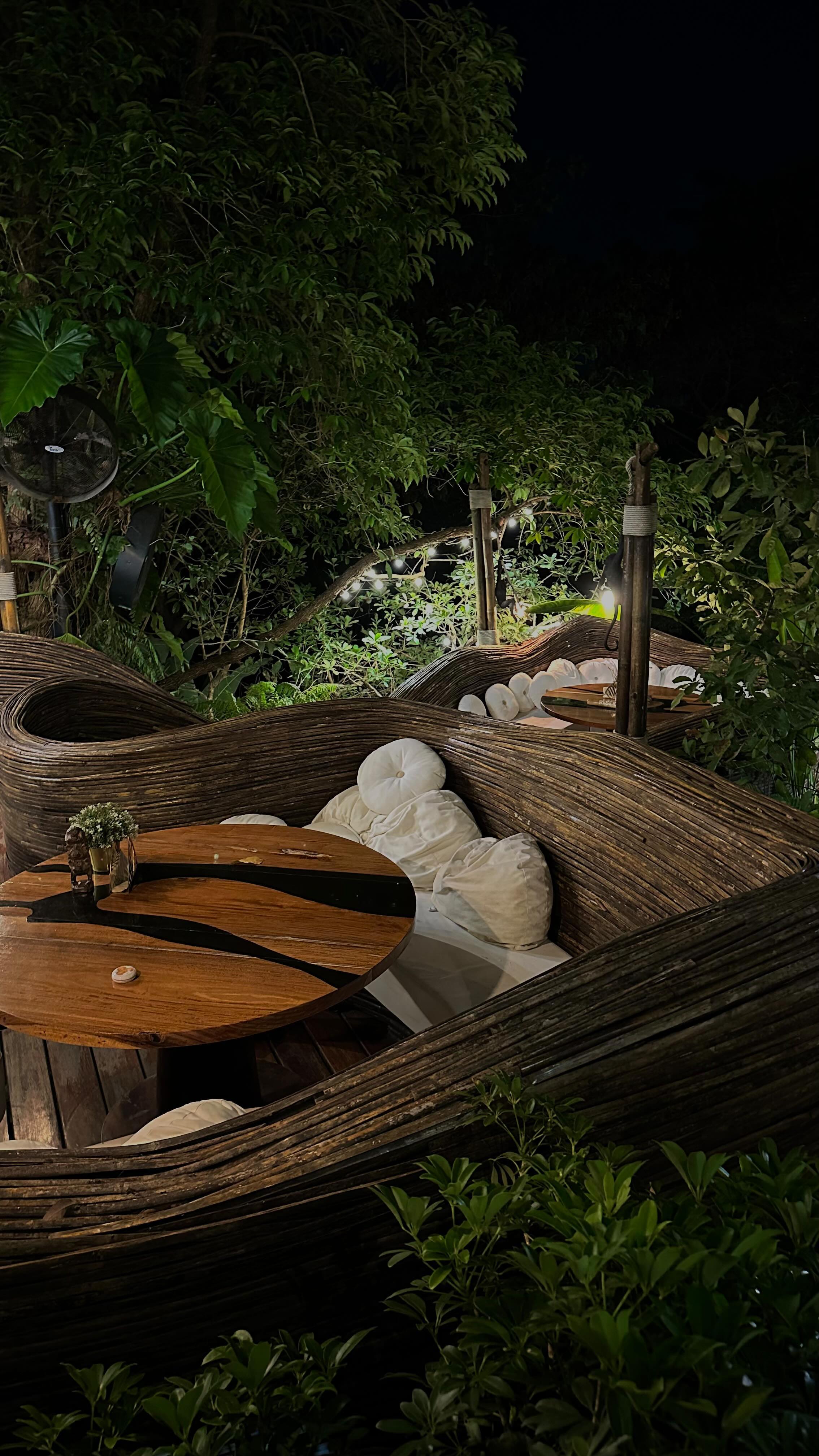 Yanitsa Petkova #45444