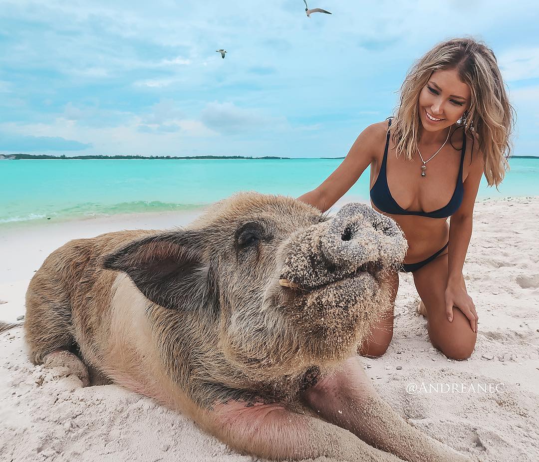 Andreane Chamberland #114514