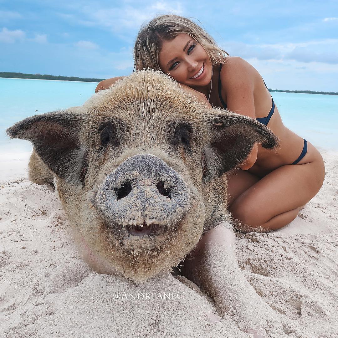 Andreane Chamberland #114515