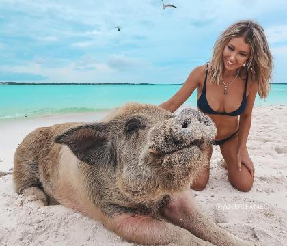 Andreane Chamberland