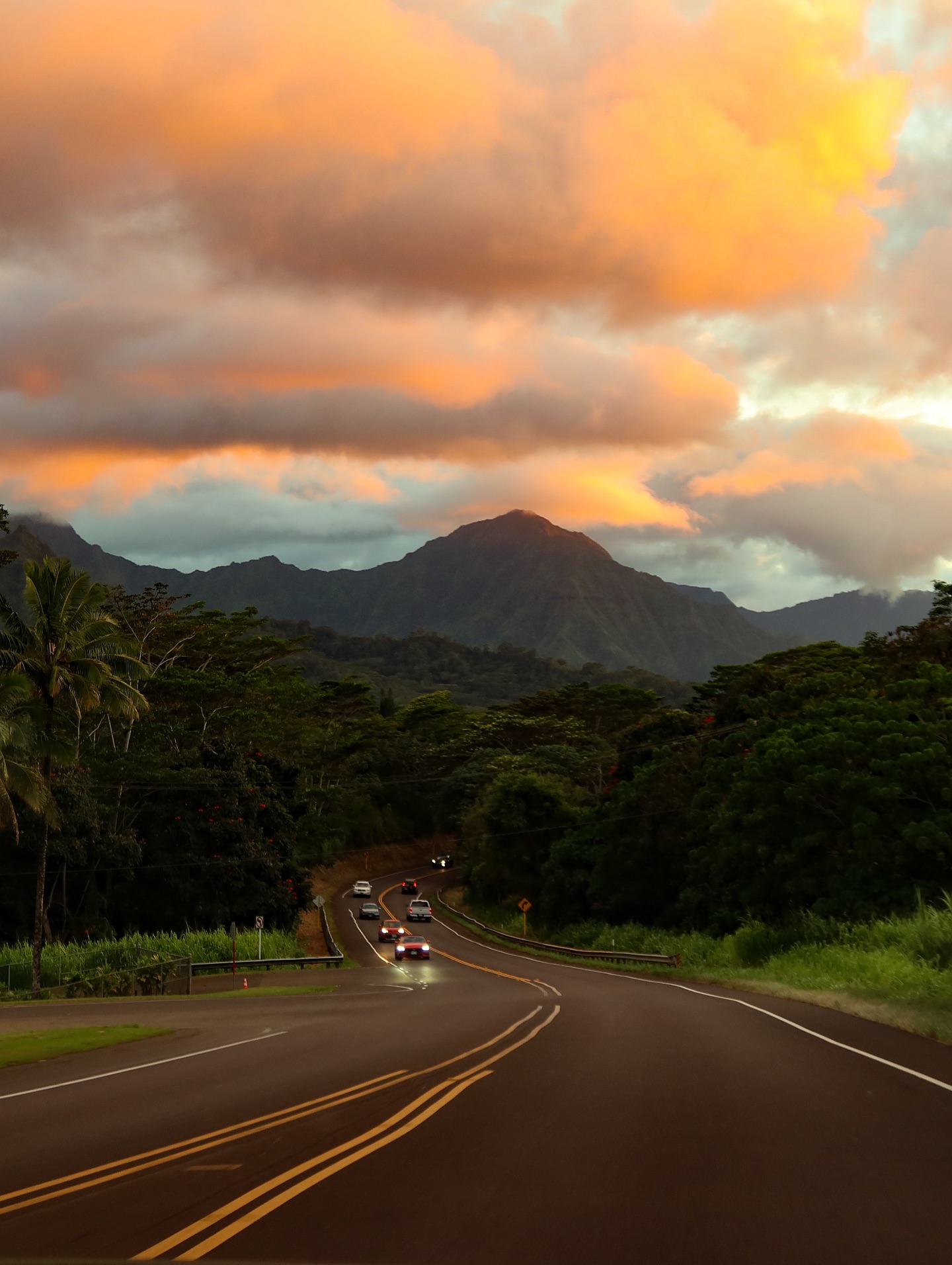 Yeli Kovalenko #116646