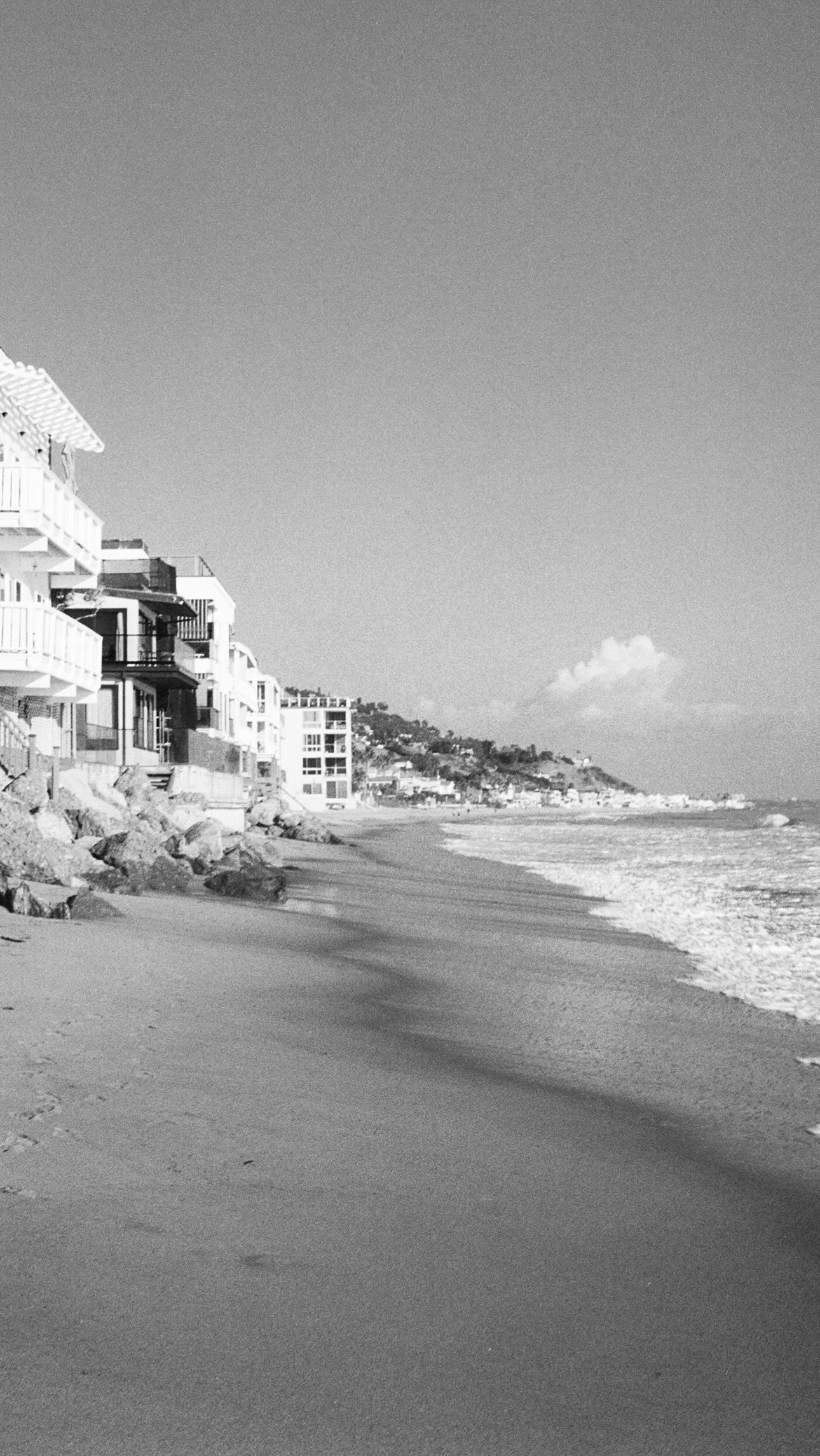 Charleen Weiss #1479