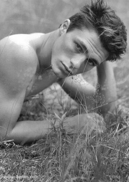 Colton Haynes #118279