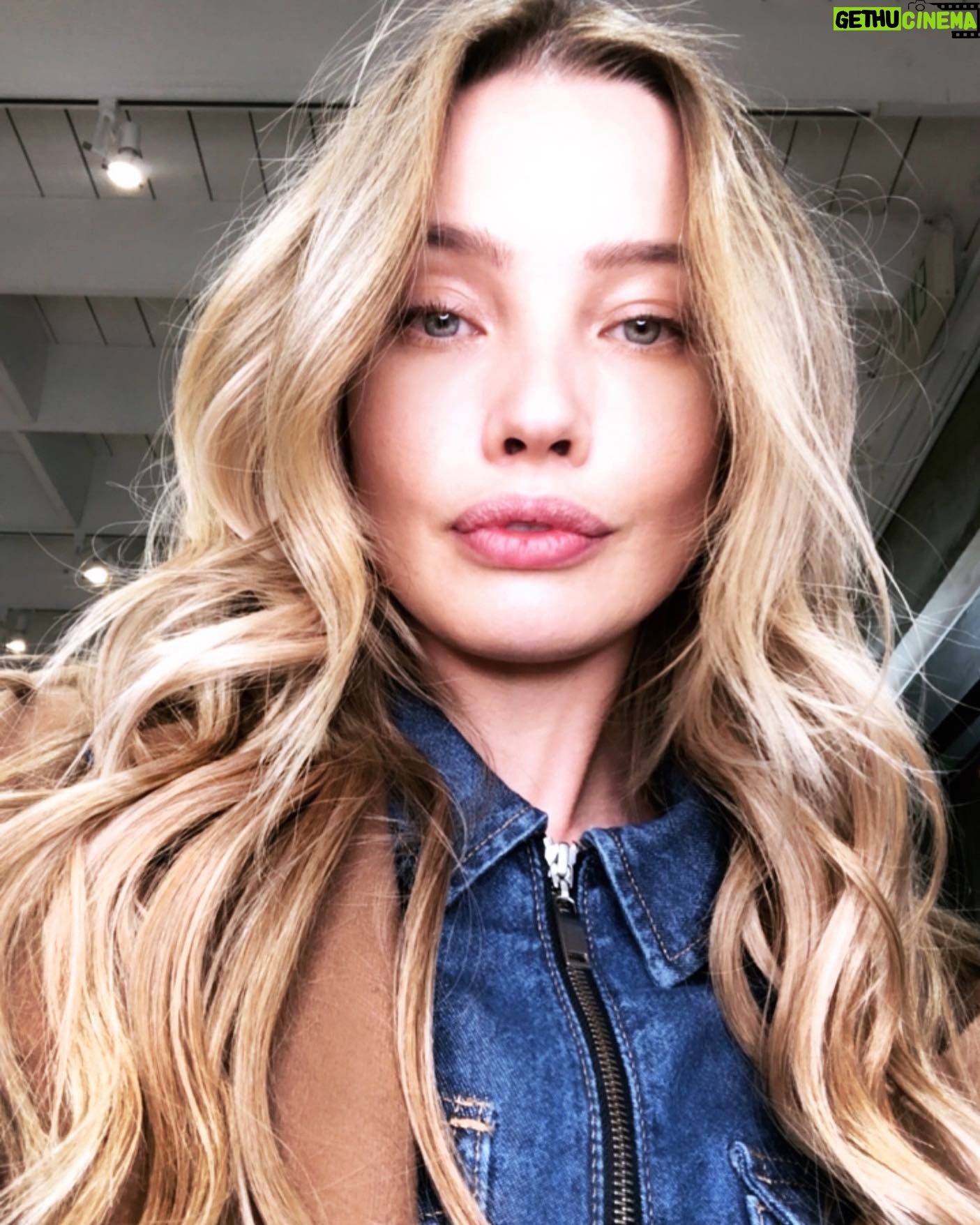 Stephanie Corneliussen #241844