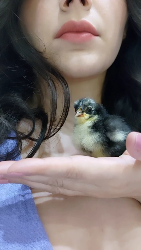 Valentina Nappi #1616