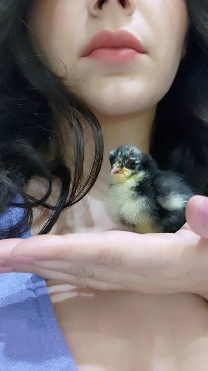 Valentina Nappi photo 1616