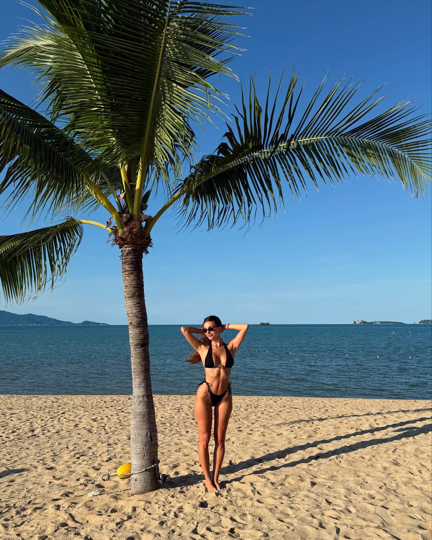 Dian Schwartz #121410