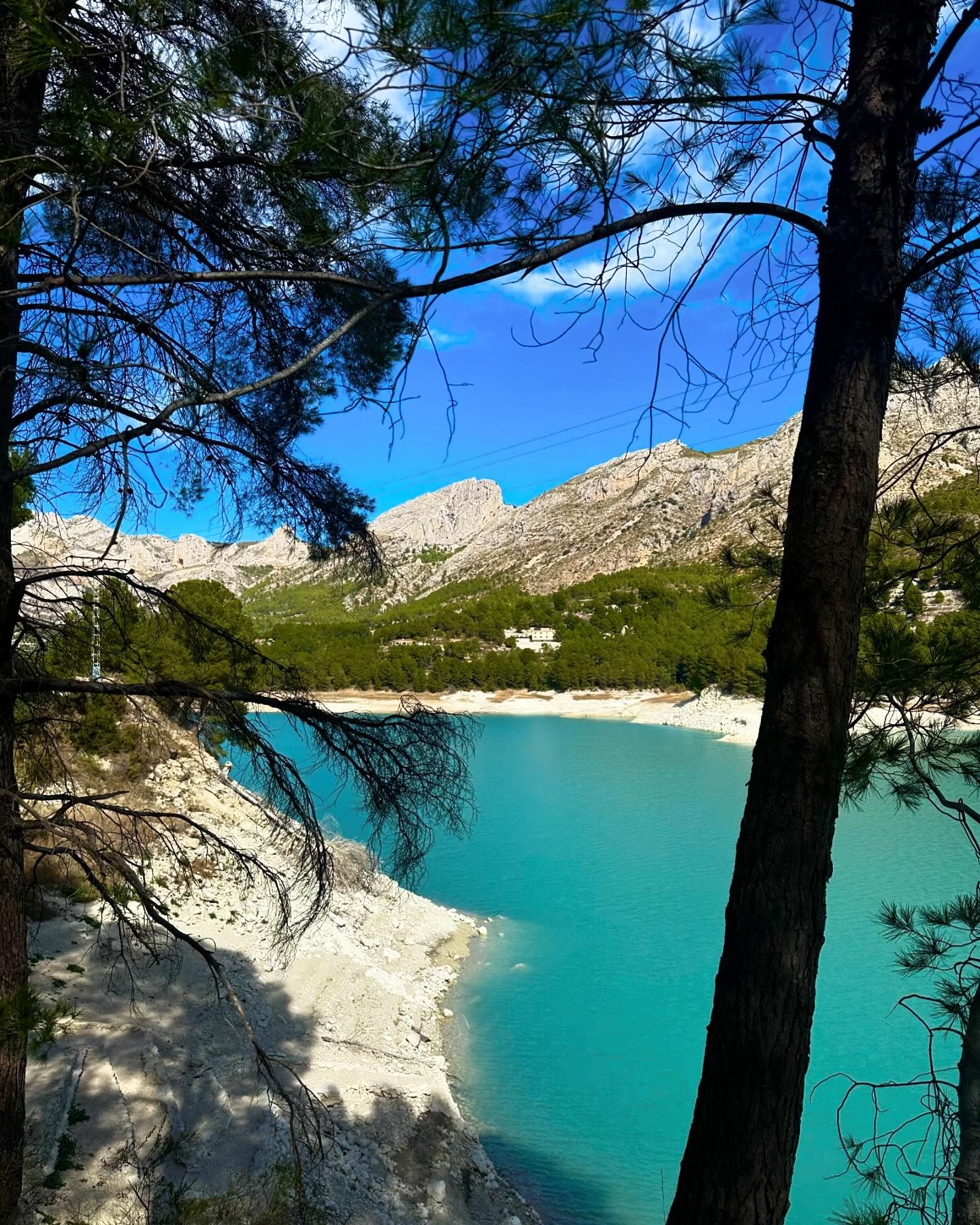 Sophia Romanova #36654