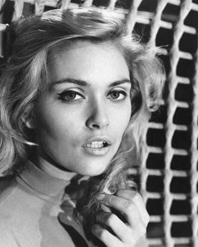 Alexandra Bastedo #128067