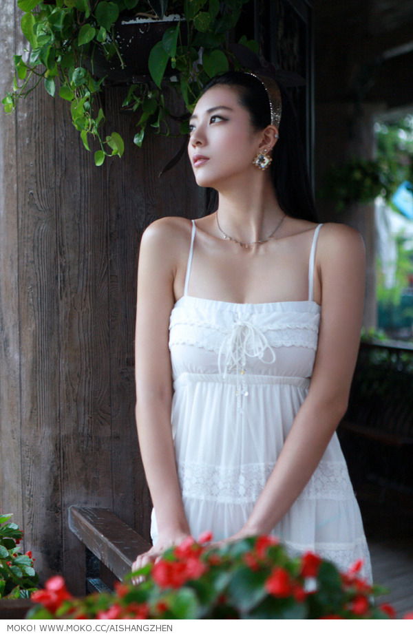 Ai Shang Zhen #130433