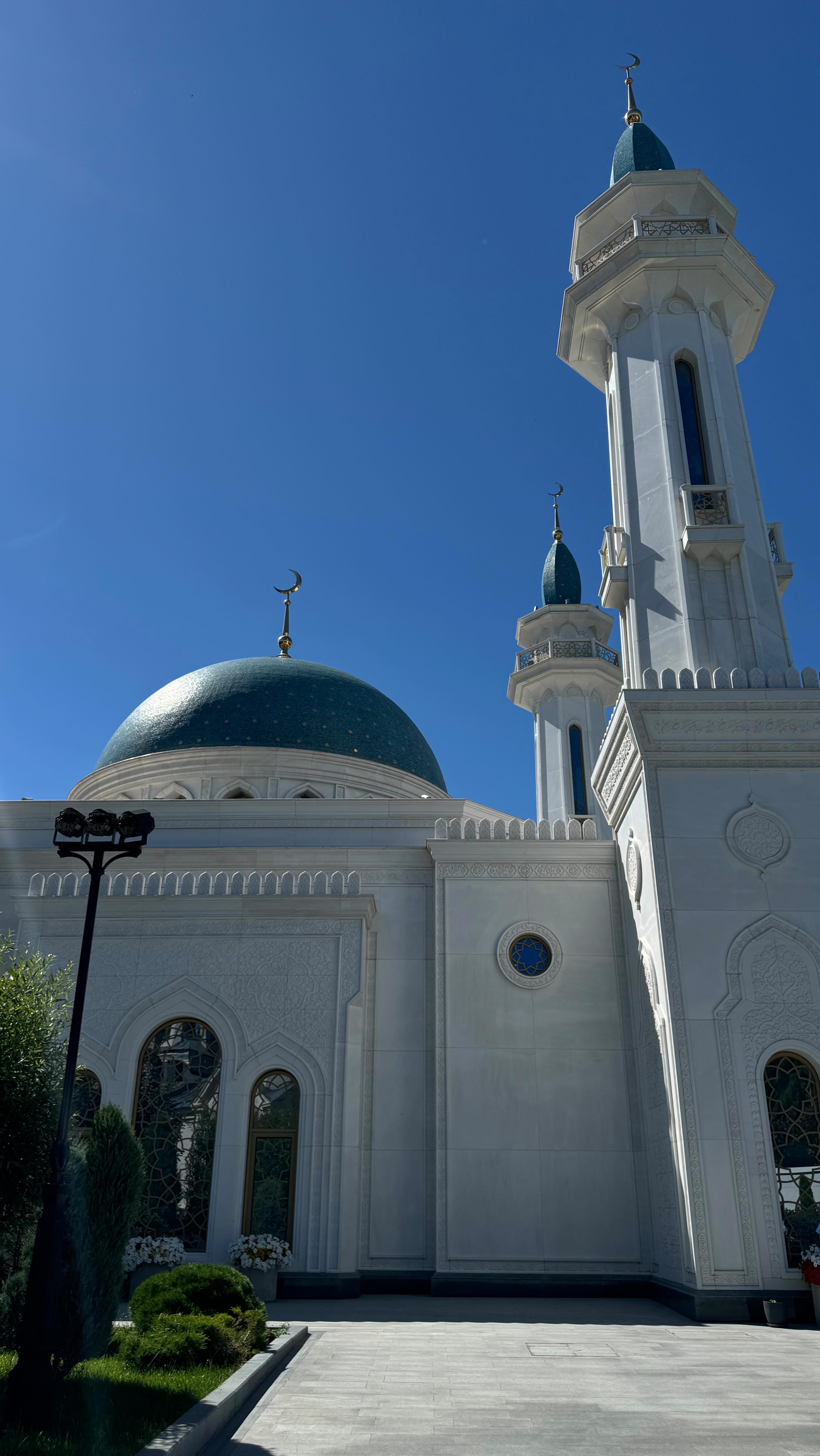 Anastasiya Goruleva #37795