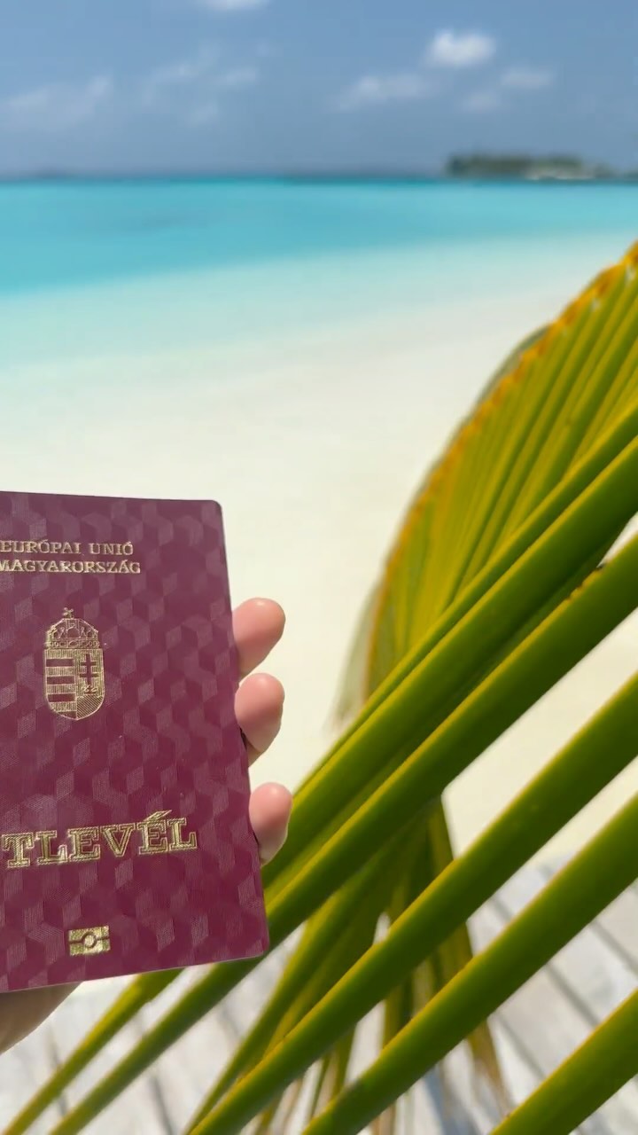 Nábrádi Anna #38281