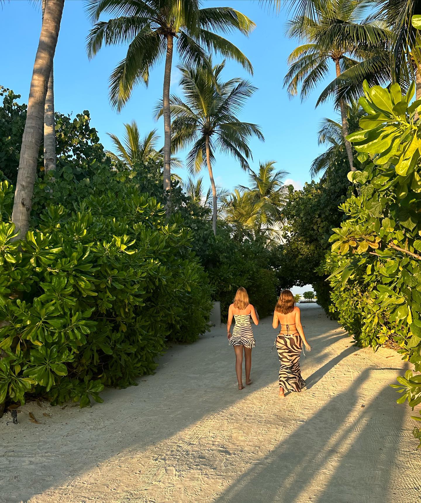 Mikaela Testa #144040