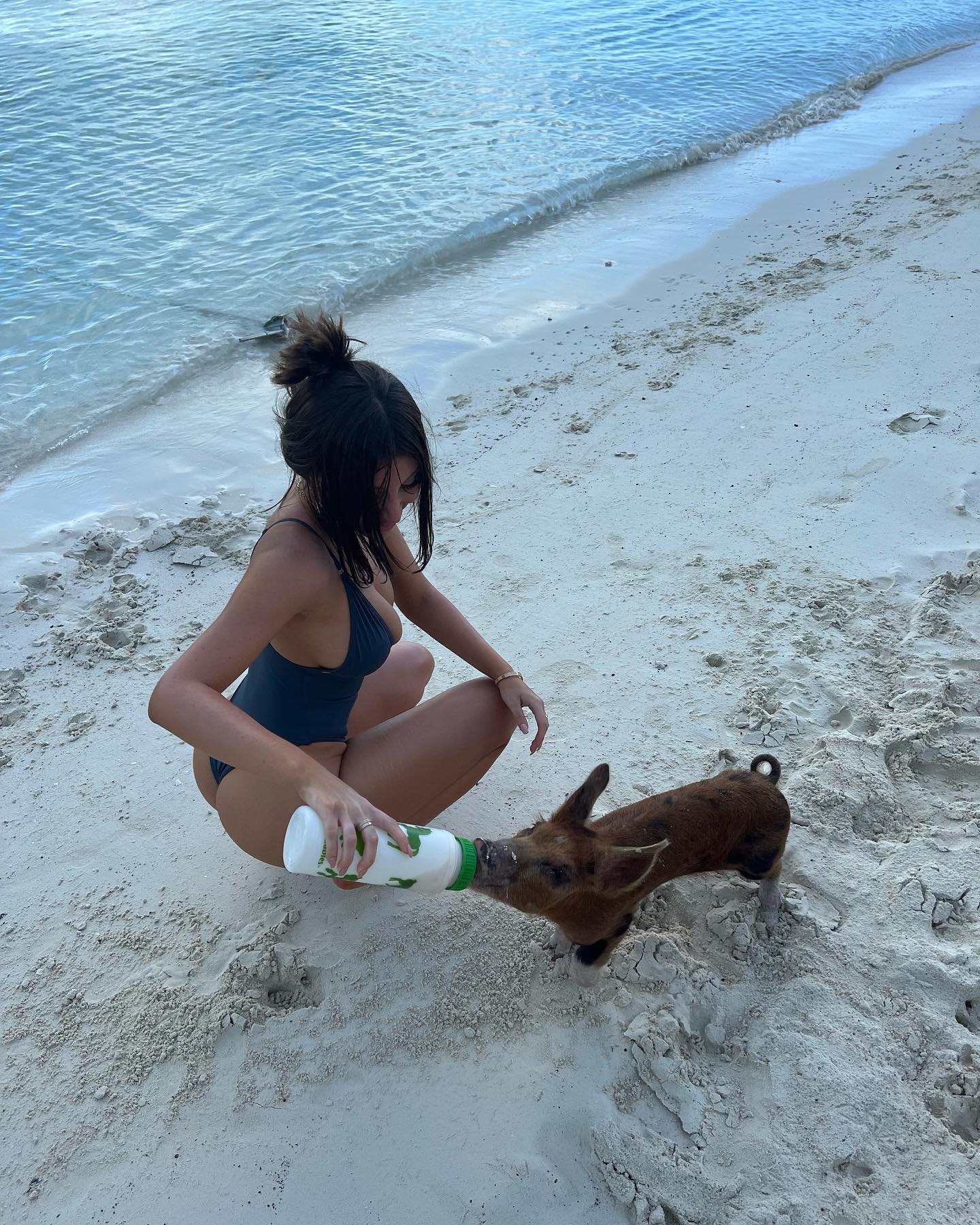 Mikaela Testa #144148