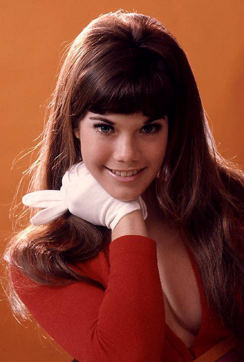 Barbi Benton #149254