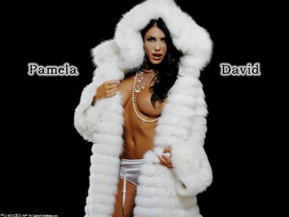 Pamela David