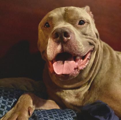 Leanna Decker photo 9843