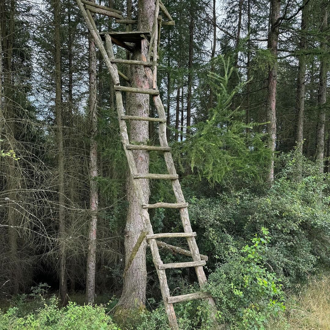 Lucia Smiešková #49733