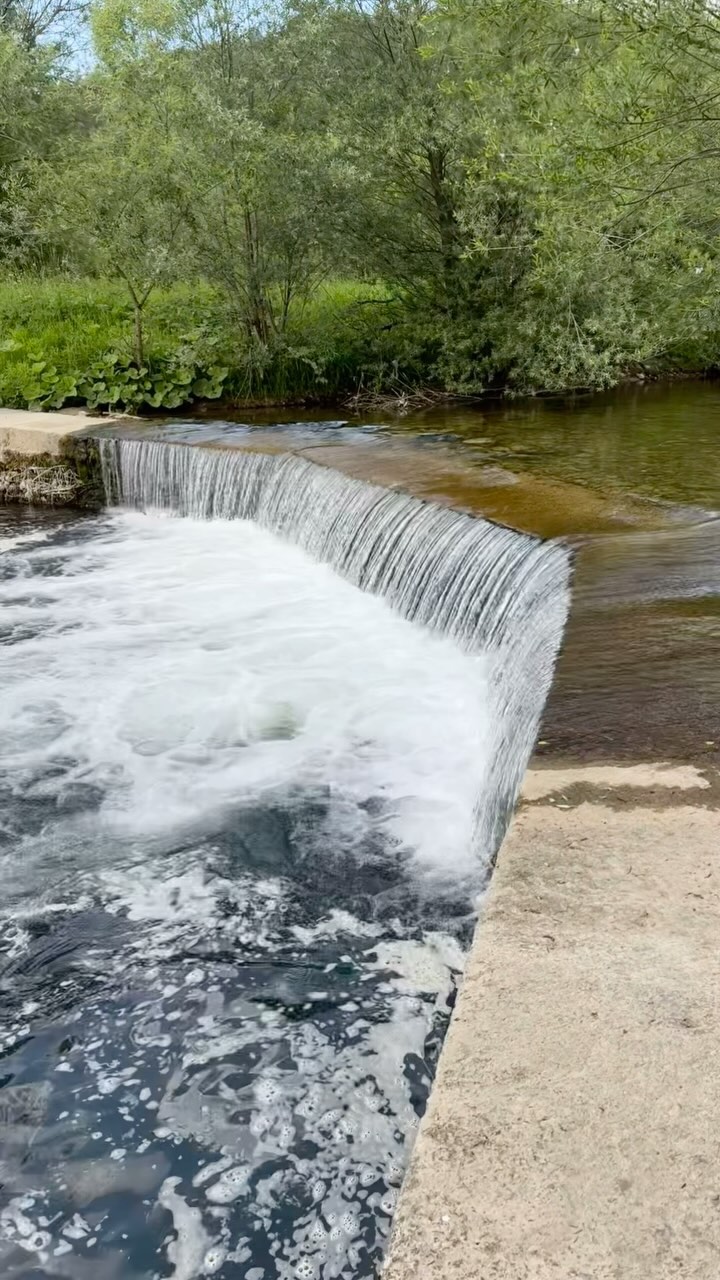 Lucia Smiešková #49743