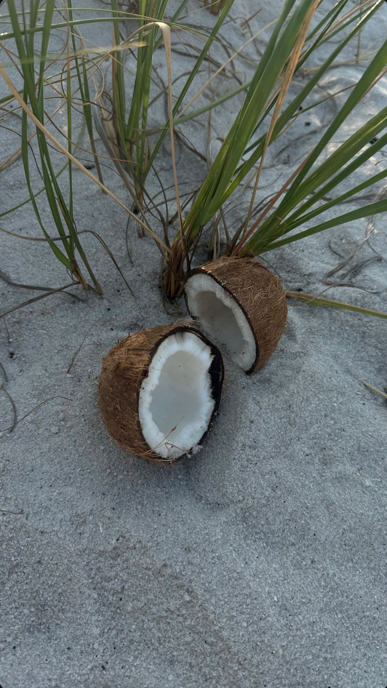 Anastasia Skyline #39136