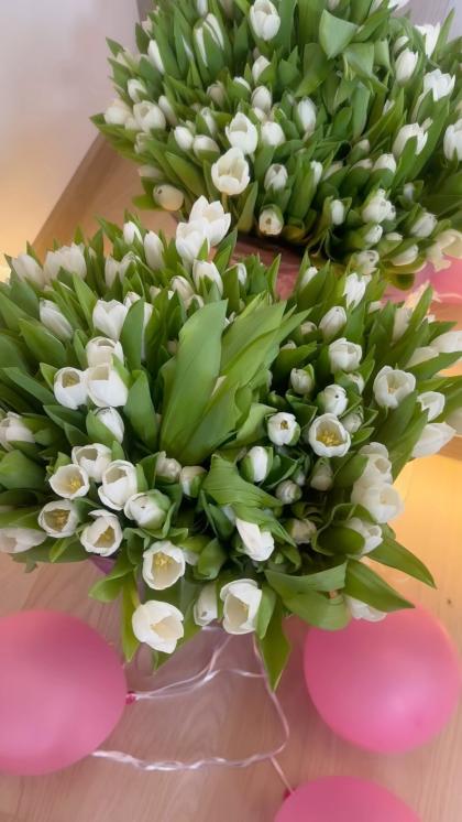 Cleo Rose photo 49896