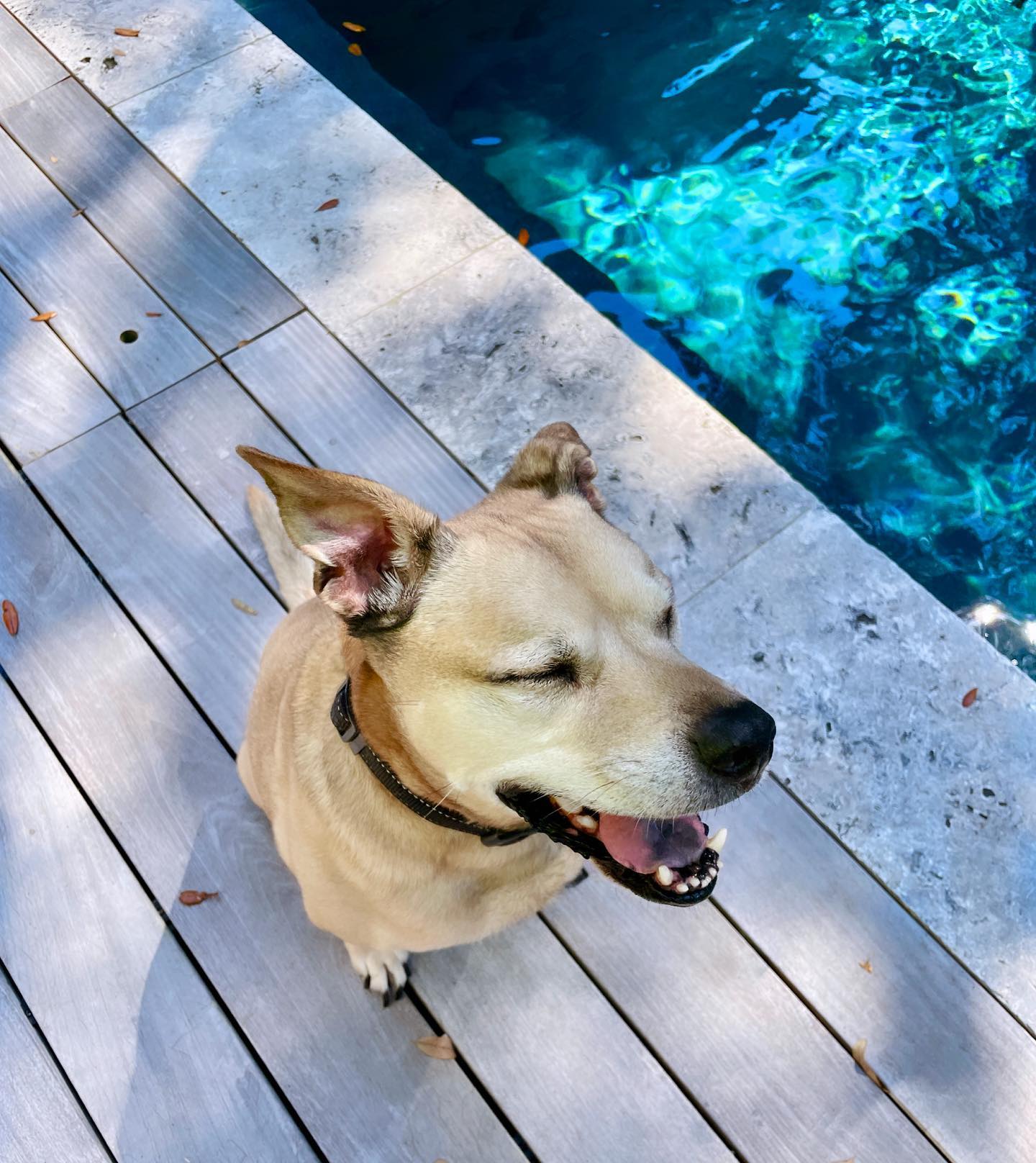 Keilah Kang Killian #10000