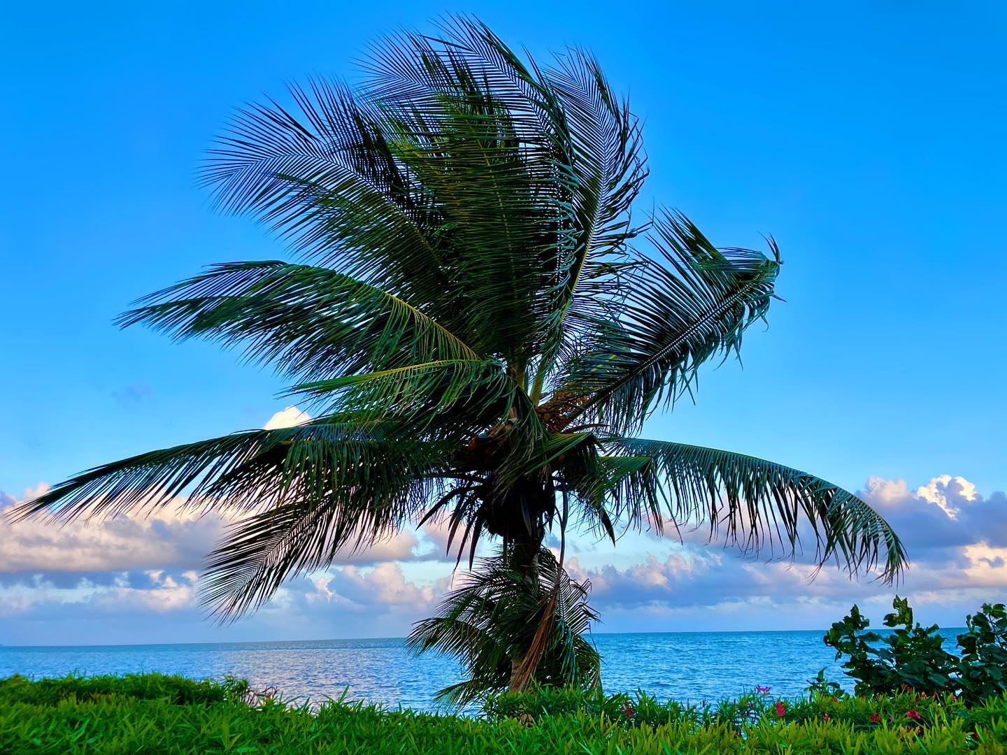 Keilah Kang Killian #10002