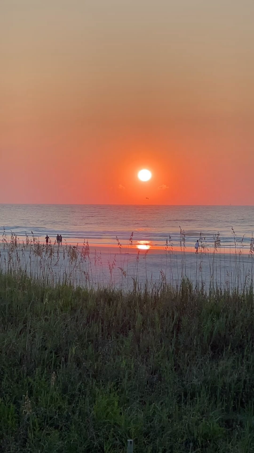 Keilah Kang Killian #10052