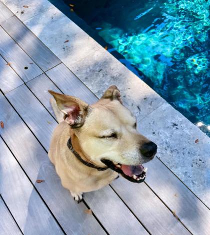 Keilah Kang Killian photo 10000