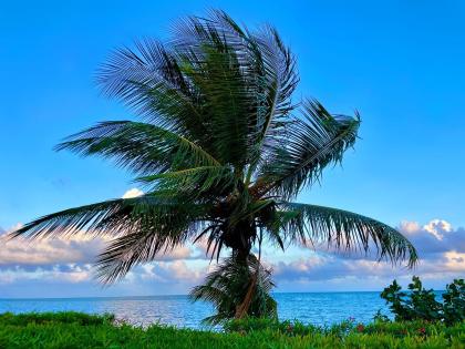 Keilah Kang Killian photo 10002