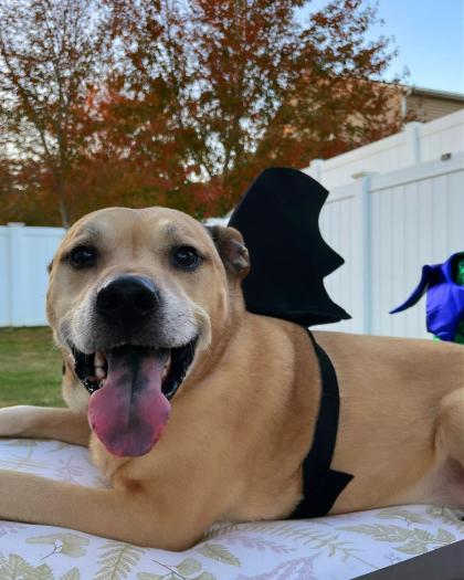 Keilah Kang Killian photo 10018