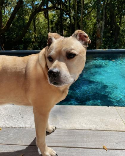 Keilah Kang Killian photo 9978